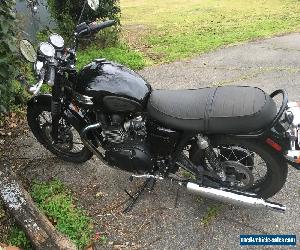 2014 Triumph Bonneville