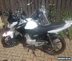 YAMAHA YBR 125 2014 8K MILES MOT 26 JUNE 2020 IN GOOD CONDITION CAN BE SEE for Sale