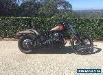 HARLEY DAVIDSON for Sale