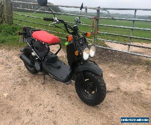 Honda Zoomer 50 NPS 50 2004 Low Mileage 