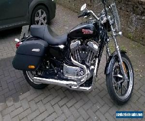 Harley Davidson 1200t XL