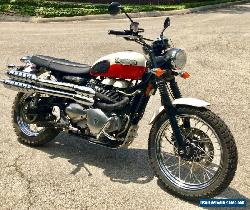 2006 Triumph Other for Sale