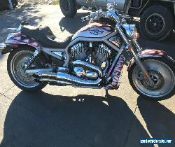 HARLEY DAVIDSON V-ROD for Sale