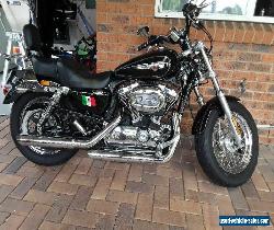 Harley Davidson 1200 XLC for sale for Sale