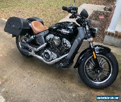 2017 Indian Scout for Sale