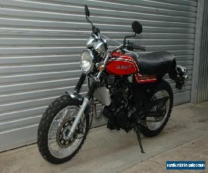 2010/11 Kawasaki Ninja 250 custom scrambler