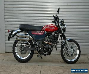 2010/11 Kawasaki Ninja 250 custom scrambler