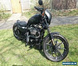 2017 custom harley sportster 883 iron px swap swop bonneville for Sale