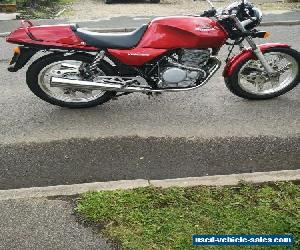 Honda XBR 500 for Sale