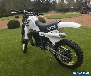 1983 YAMAHA YZ 490K, CLASSIC MOTOCROSS, EVO TWINSHOCK