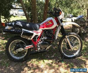 HONDA XL500R 1982 RESTORED