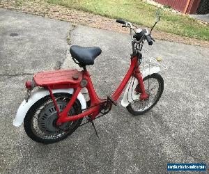 Honda p50