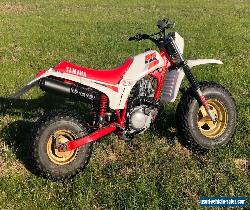 Yamaha Big Wheel 200 for Sale