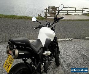 2008 Yamaha mt-03