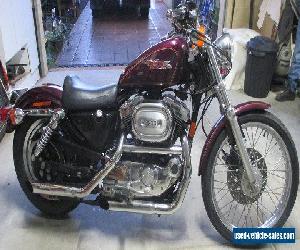 1996 Harley Davidson 1200 Sportster Custom  