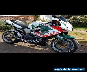 Honda VTR Firestorm 1000 SP1 Replica