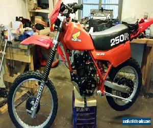 Honda xr250r 1982 motorbike 