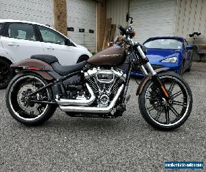 2019 Harley-Davidson Softail