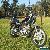 Yamaha Virago 1100 for Sale