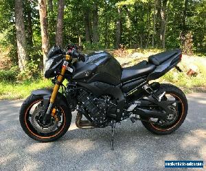 2012 Yamaha FZ8N