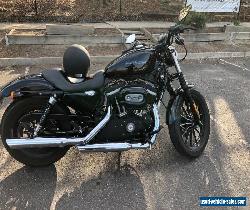 harley davidson iron 883 for Sale