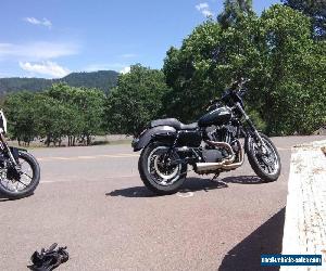 2008 Harley-Davidson Sportster