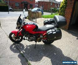 Suzuki Gladius 650 for Sale