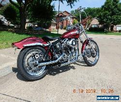 1979 Harley-Davidson FXEF-80 for Sale