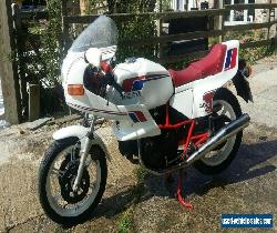 Ducati Pantah 500SL for Sale