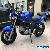 2005 Suzuki SV for Sale