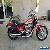 1997 Honda Shadow for Sale