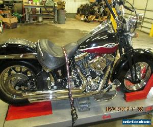 2005 Harley-Davidson Softail