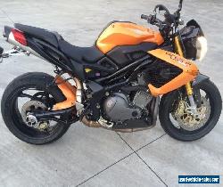 BENELLI TNT 899S 06/2008 MODEL 14651KMS PROJECT MAKE AN OFFER for Sale