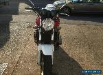 honda cb1300 2010 for Sale