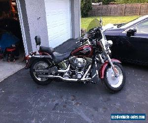 2000 Harley-Davidson Softail