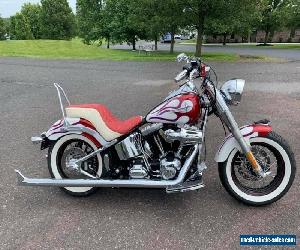 2013 Harley-Davidson Softail