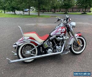 2013 Harley-Davidson Softail