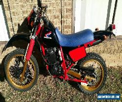 Honda XLR250 for Sale