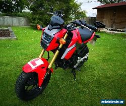 honda msx125 grom 2017 for Sale