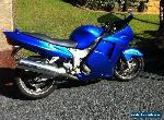 HONDA-CBR1100XX BLACKBIRD-1999 for Sale