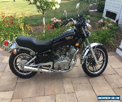 1982 Yamaha Virago for Sale