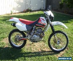 HONDA XR250 1998 for Sale