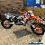 Ktm 300 exc for Sale