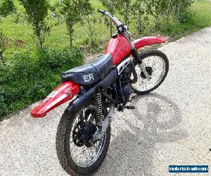 Suzuki TS 185 ER twin shock scrambler