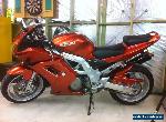 Suzuki SV1000 Motorcycle for Sale