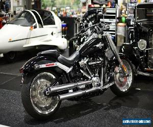 2019 Harley-Davidson Softail