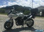 2001 Suzuki Bandit for Sale