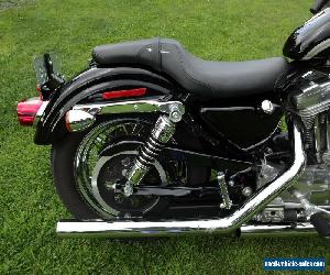 2003 Harley-Davidson Sportster