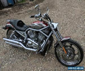 2002 Harley-Davidson V-ROD