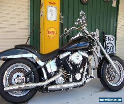 Harley Davidson Softail for Sale